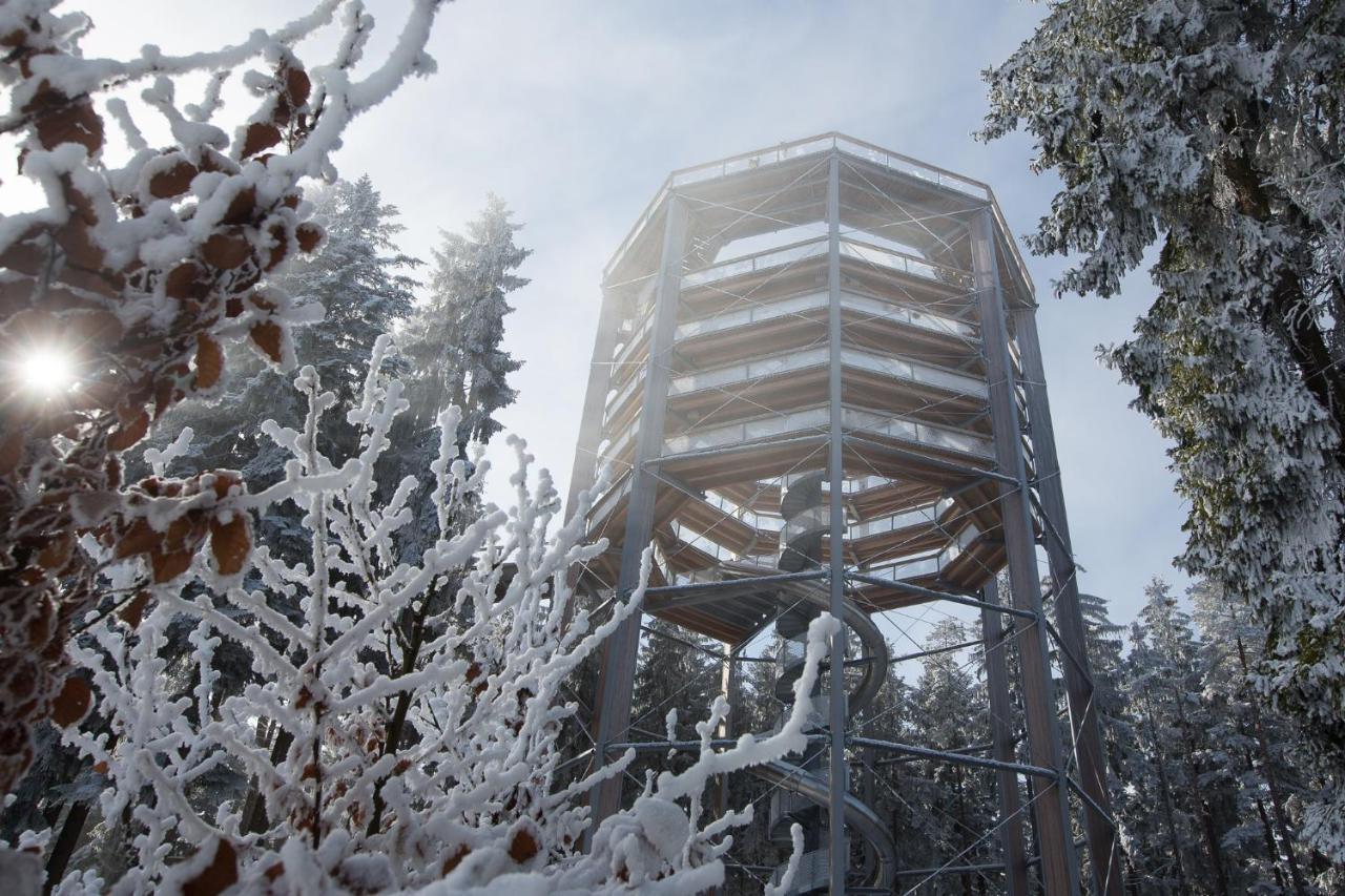 Hotel Barborka Přední Výtoň エクステリア 写真